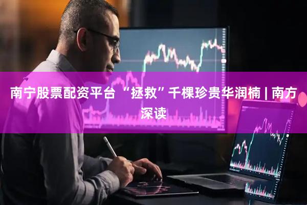 南宁股票配资平台 “拯救”千棵珍贵华润楠 | 南方深读